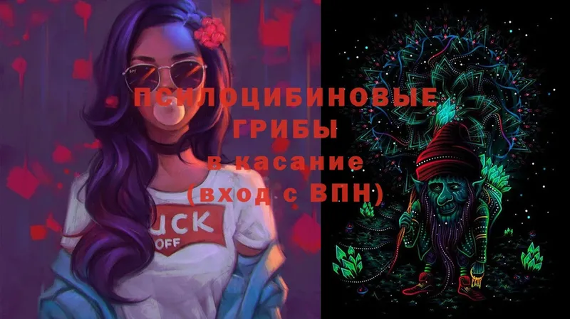 Галлюциногенные грибы Psilocybe  Тавда 