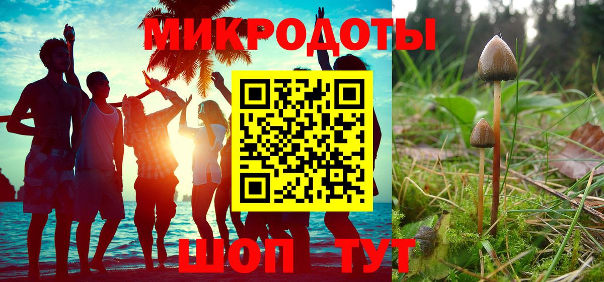 Псилоцибиновые грибы MAGIC MUSHROOMS  Псилоцибиновые грибы Psilocybine cubensis  Вход с VPN  как найти закладки  Тавда 