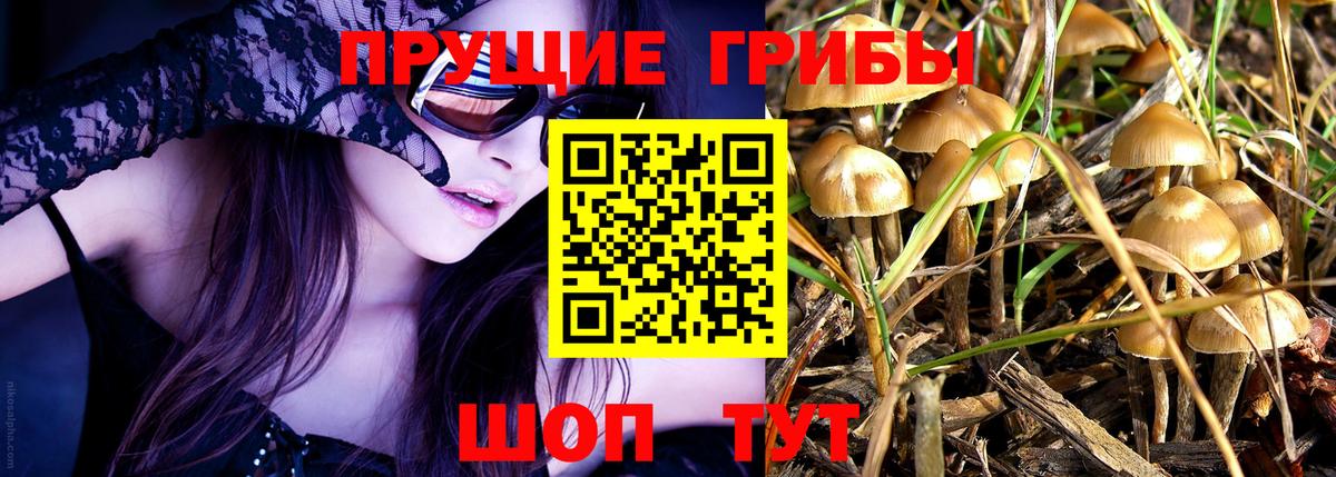 Галлюциногенные грибы ЛСД  Галлюциногенные грибы GOLDEN TEACHER  Тавда 